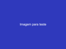 Teste teste